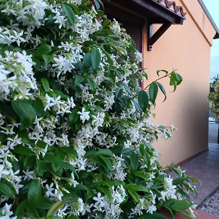 Holiday home I Gelsomini *